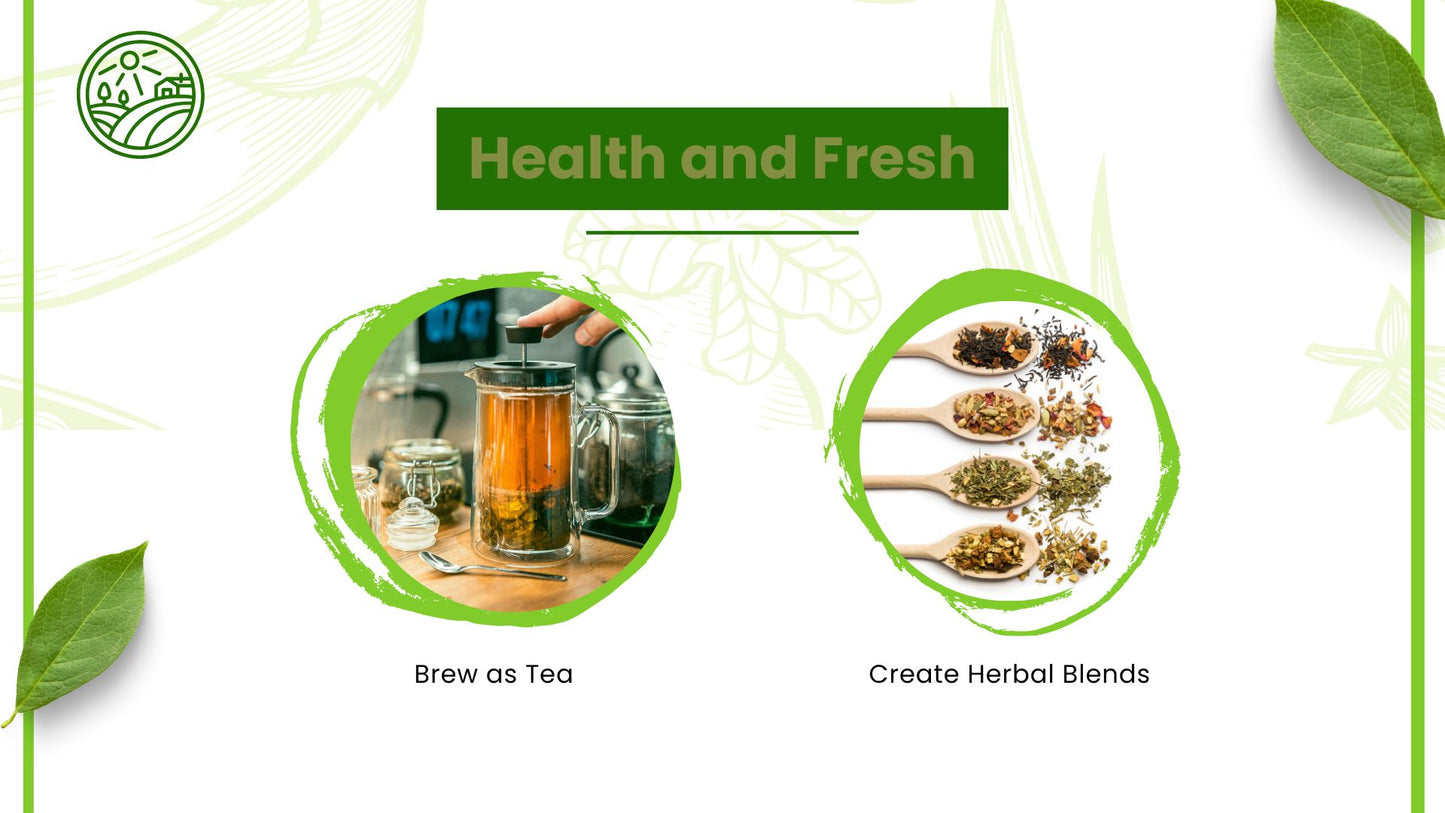 Natural Stuff Senna Leaves – Premium Quality Herbal Leaves