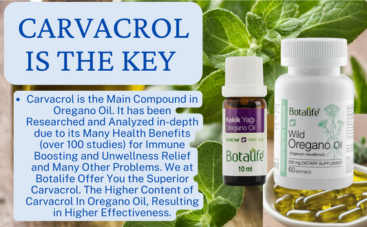 Botalife Wild Oregano Oil Capsules -Extra Strength min 70% Carvacrol