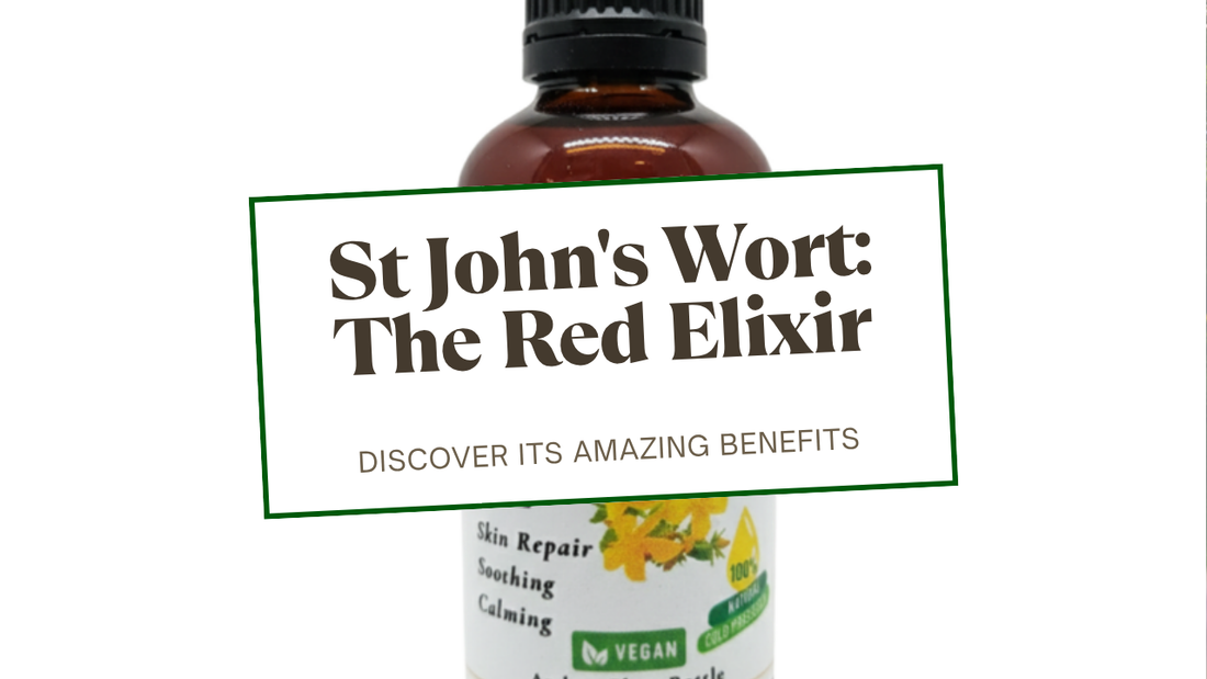 Natural Stuff Red Elixir St John's Wort Oil — St John's Wort: The Red Elixir