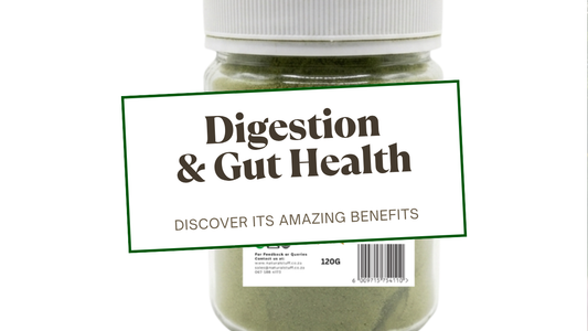 Digestion & Gut Health - Natural Stuff Organic Moringa Powder blog cover