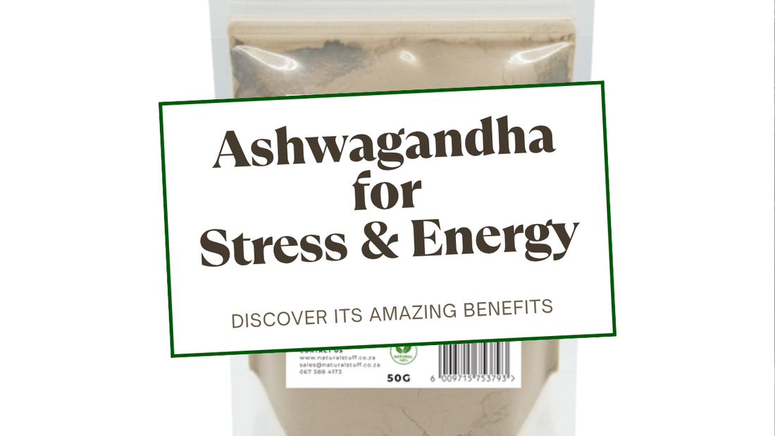Ashwagandha for Stress & Energy - Natural Stuff blog cover