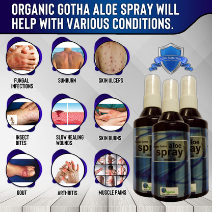 Organic Gotha aloe spray