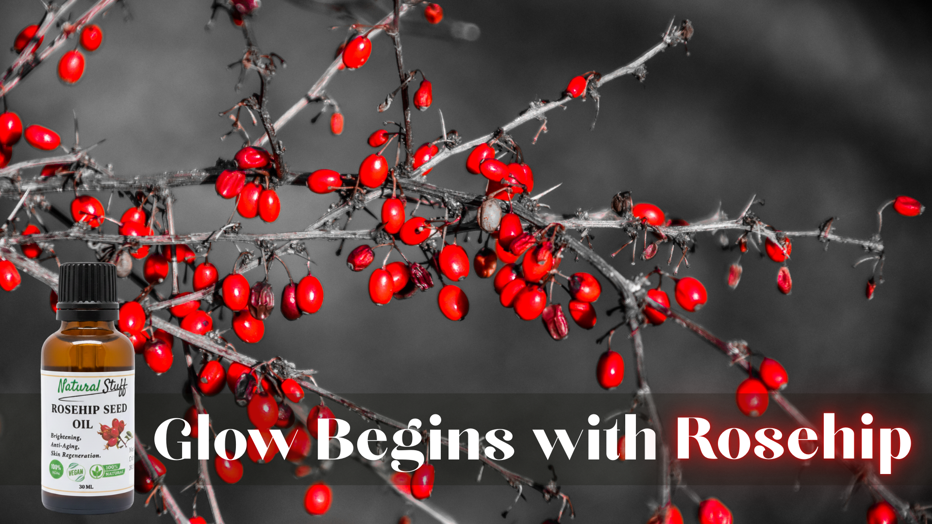 Bottle of Natural Style Rosehip Seed Oil with red berries on a branch against a dark background.