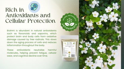 Natural Stuff Brahmi Powder - Natural Support for Mind, Memory & Calm