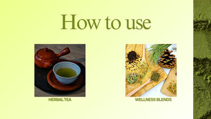 Natural Stuff Soursop Leaf Powder – Traditional Herbal Wellness