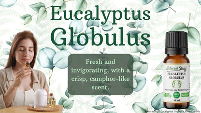 Woman smelling a candle with eucalyptus leaves and a bottle of eucalyptus oil on a light green background.
