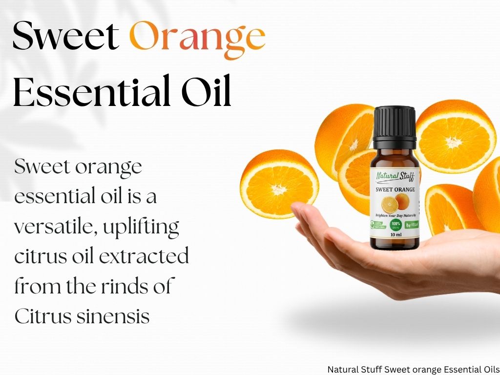 Bottle of sweet orange essential oil with oranges on a white background