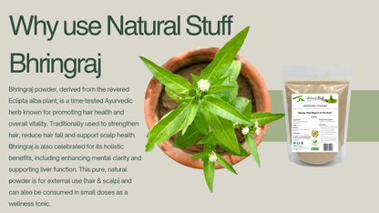 Bhringraj plant and powder packaging with text on a light background