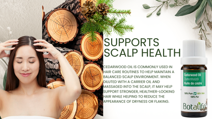 Woman with hands on head, wooden logs, and botanical elements with text about scalp health and Botafio product.