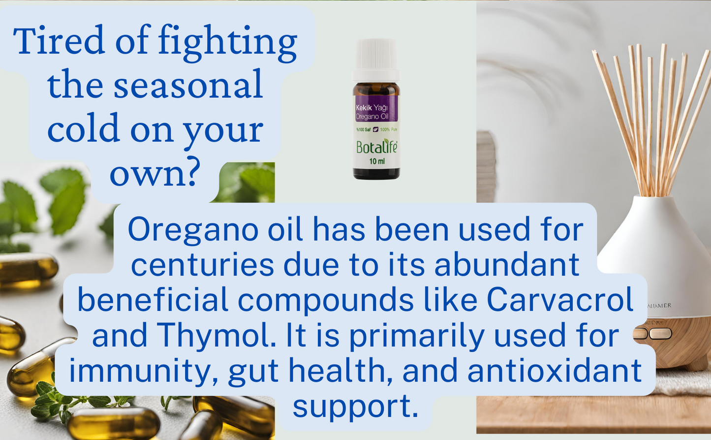 Discover the life-giving power of Botalife Oregano Oil