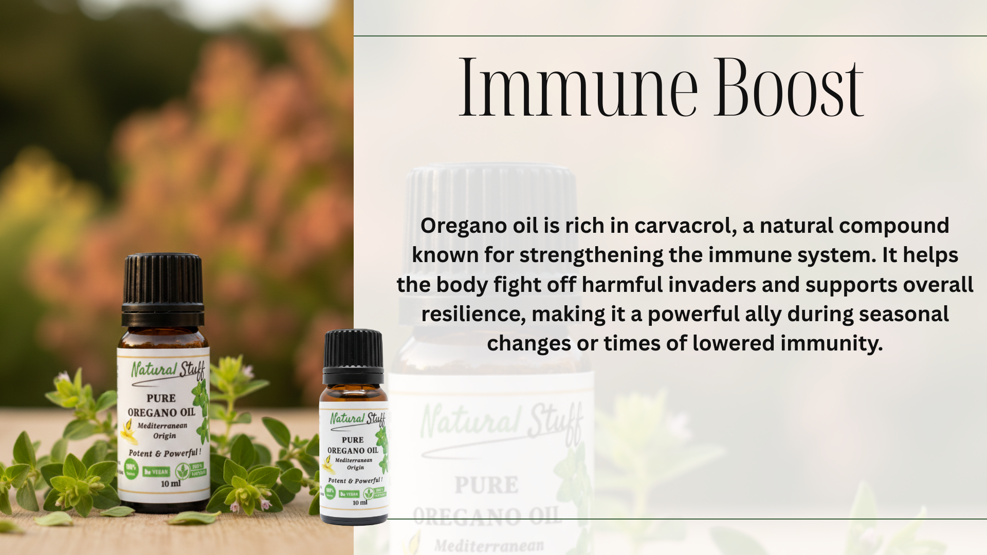 Oregano oil bottles with herbs on a wooden surface and text about immune boost.