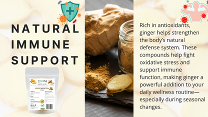 Natural Stuff Premium Dried Ginger Slices-Digestive and Immune support 100g.