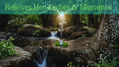 Bottle of medicine on a rock in a forest with text 'Relieves Headaches & Migraines'.