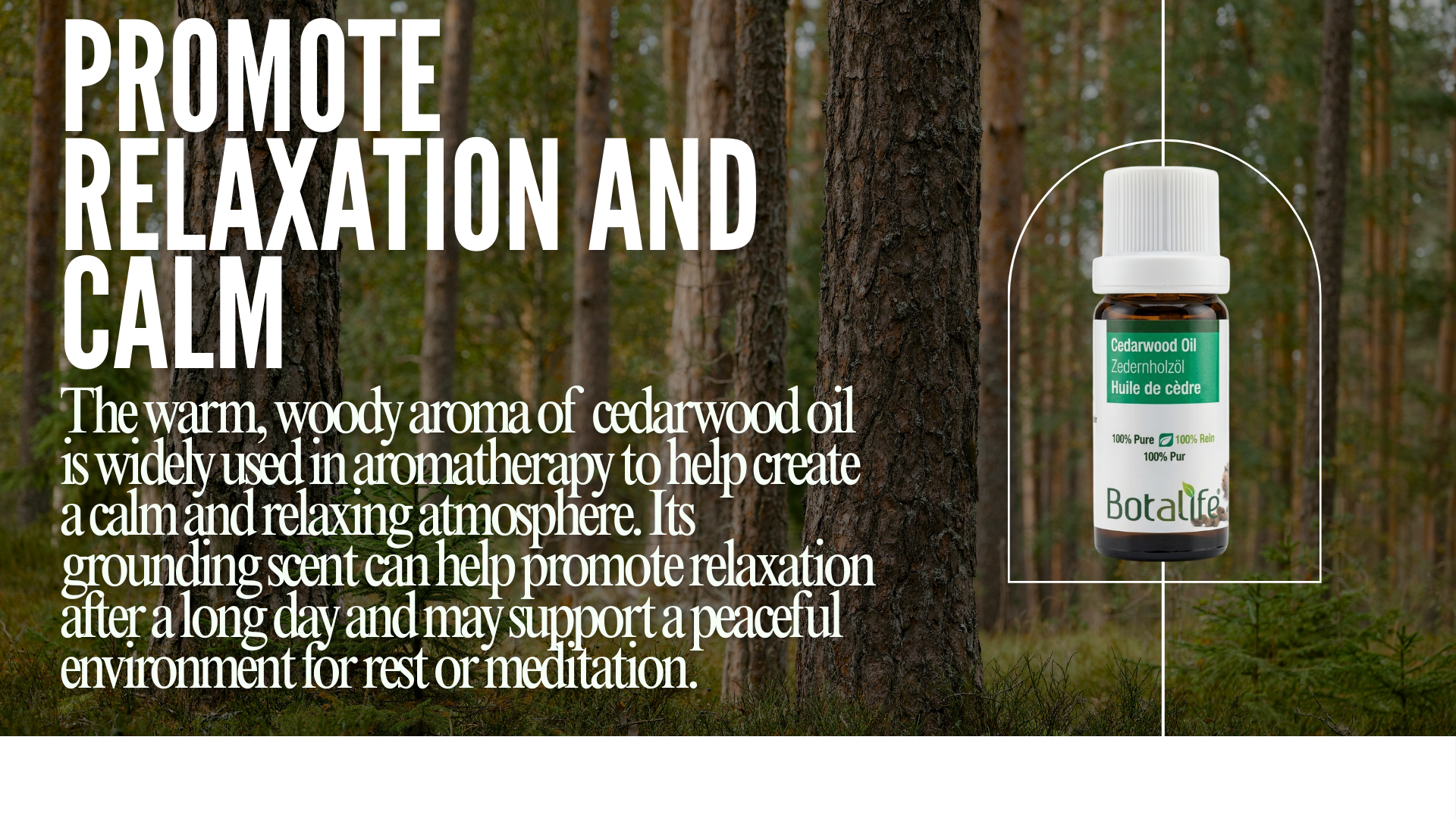 Bottle of Botanicals Cedarwood oil with text about relaxation and calm in a forest setting