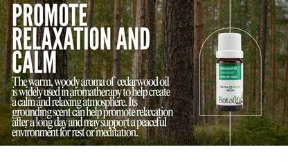 Bottle of Botanicals Cedarwood oil with text about relaxation and calm in a forest setting