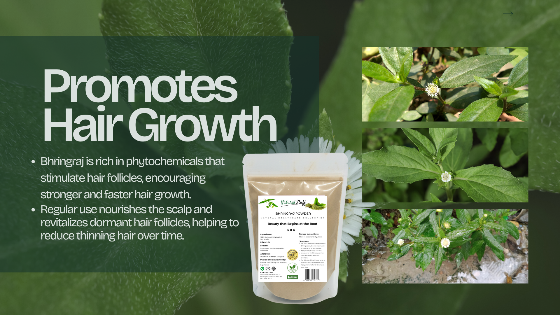 Product packaging for hair growth supplement with greenery and text on a dark green background