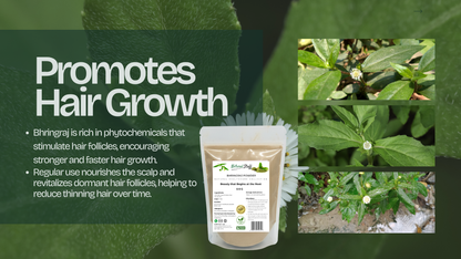 Product packaging for hair growth supplement with greenery and text on a dark green background