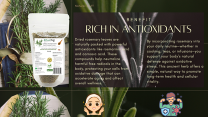 Natural Stuff Dried Rosemary Leaves - Premium Culinary & Herbal Herb