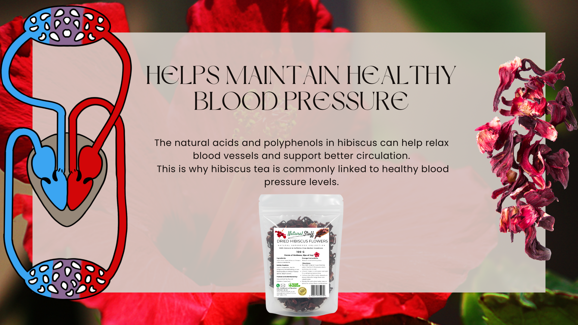 Hibiscus flower with text about maintaining healthy blood pressure and a container of hibiscus tea.