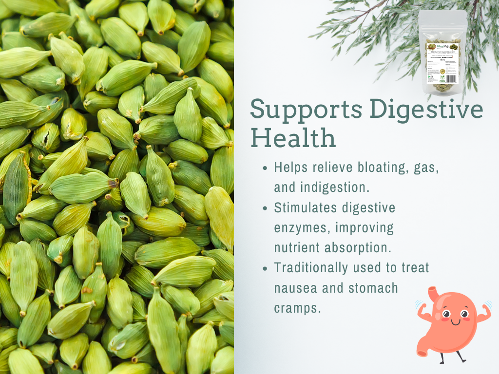 Natural Stuff Premium Whole Cardamom - Fresh, Fragrant, Bold Aroma