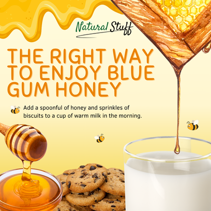 Natural Stuff Premium Blue Gum Honey - 100% Pure Western Cape Honey 500g