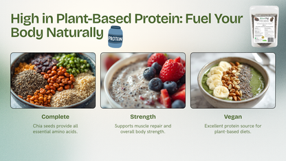 Promotional graphic for plant-based protein sources with images of chia seeds, a bowl of berries and oats, and a bowl of smoothie with bananas and greens.