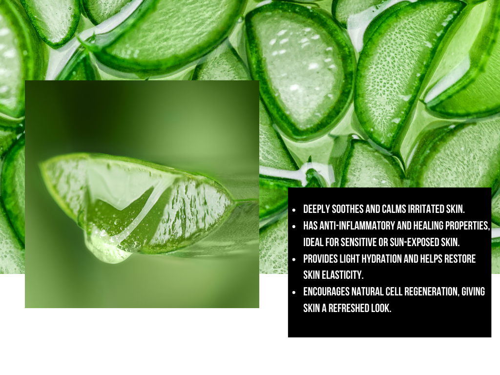 Close-up of sliced green aloe vera with text about its benefits.