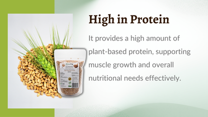 Container of plant-based protein with text highlighting its benefits on a green and white background