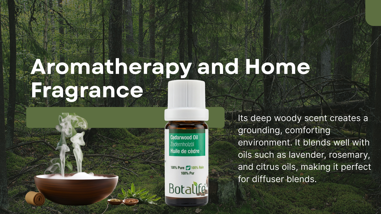 Bottle of Botalife essential oil with text about aromatherapy and home fragrance against a forest background.
