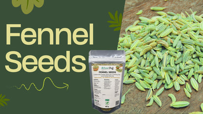 Natural Stuff Fennel Seeds – Aromatic Culinary