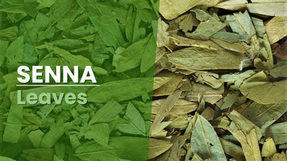 Natural Stuff Senna Leaves – Premium Quality Herbal Leaves