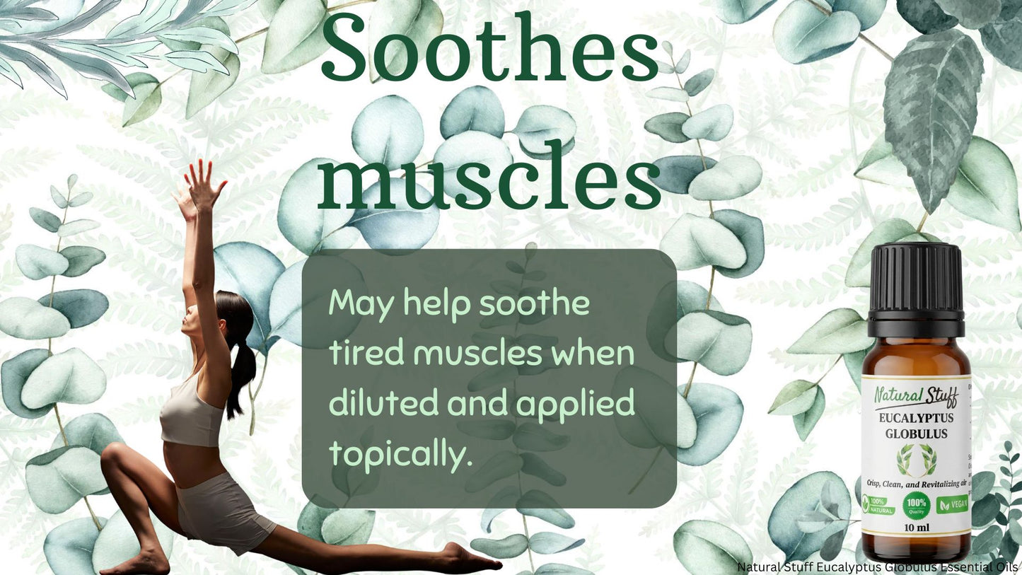 Bottle of Natural Stuff's Eucalyptus Globulus oil with text about muscle soothing effects on a green leafy background.