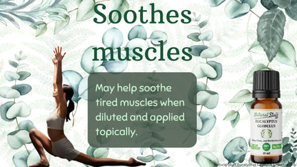 Bottle of Natural Stuff's Eucalyptus Globulus oil with text about muscle soothing effects on a green leafy background.