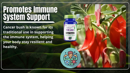 Promotional image of a cancer bush with a supplement bottle labeled 'Tim Jan' and text about immune system support.