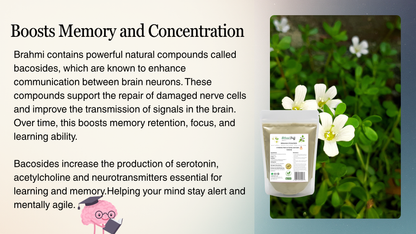 Natural Stuff Brahmi Powder - Natural Support for Mind, Memory & Calm