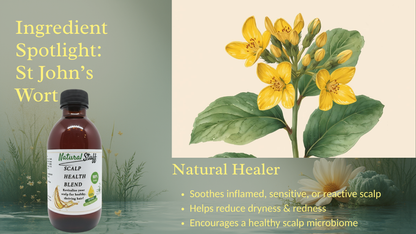 Bottle of Natural Healer Scalp Health Oil with St John's Wort illustration on a green background