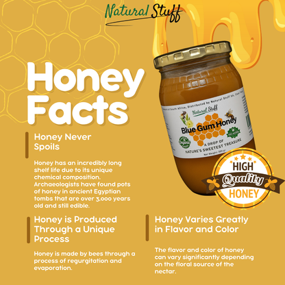 Natural Stuff Premium Blue Gum Honey - 100% Pure Western Cape Honey 500g