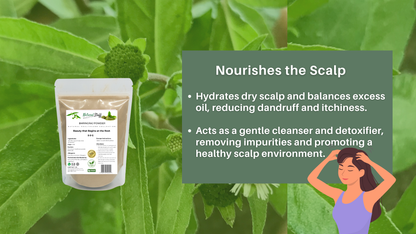 Product packaging for scalp care with green leaves in the background
