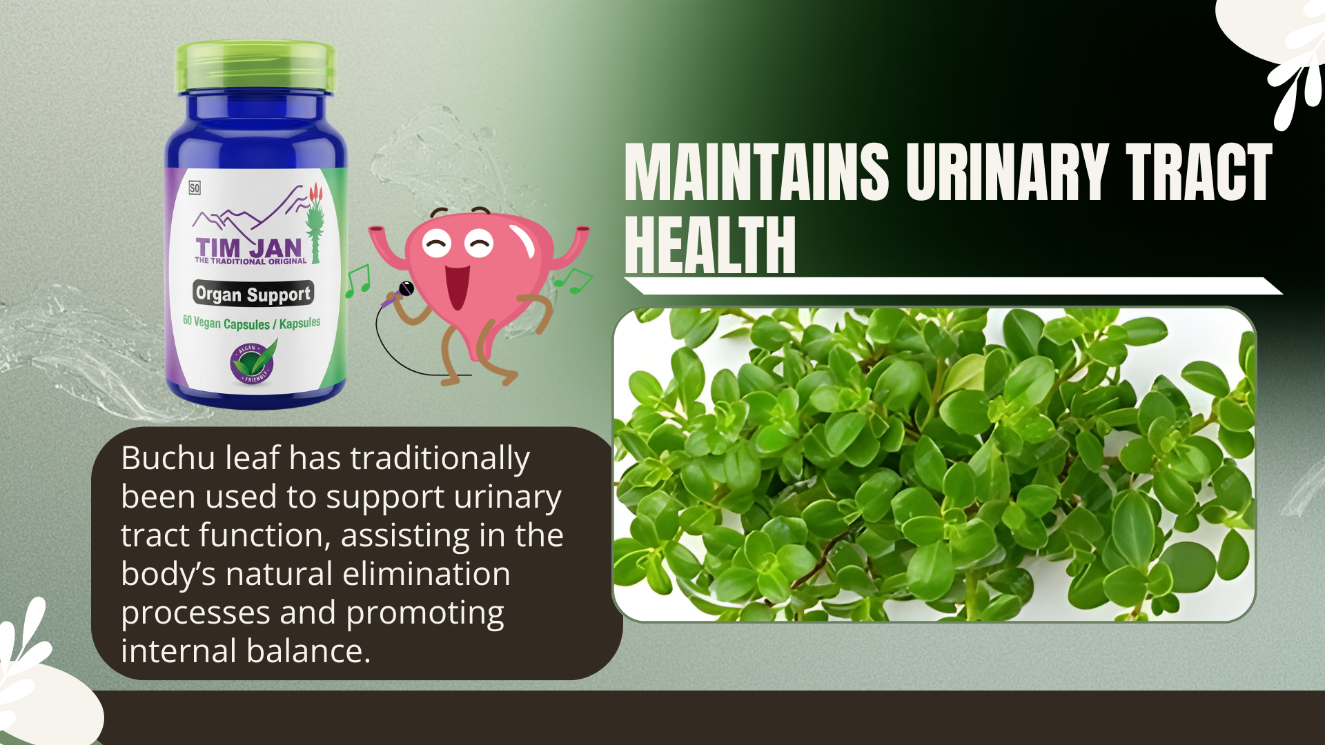 Supplement bottle with pink cartoon character and buchu leaf illustration on a green background