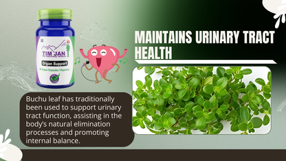 Supplement bottle with pink cartoon character and buchu leaf illustration on a green background