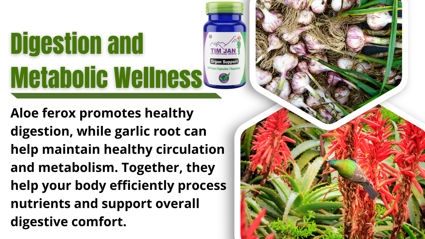 Advertisement for aloe ferox and garlic root with product image and text about digestion and metabolic wellness.