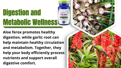 Advertisement for aloe ferox and garlic root with product image and text about digestion and metabolic wellness.