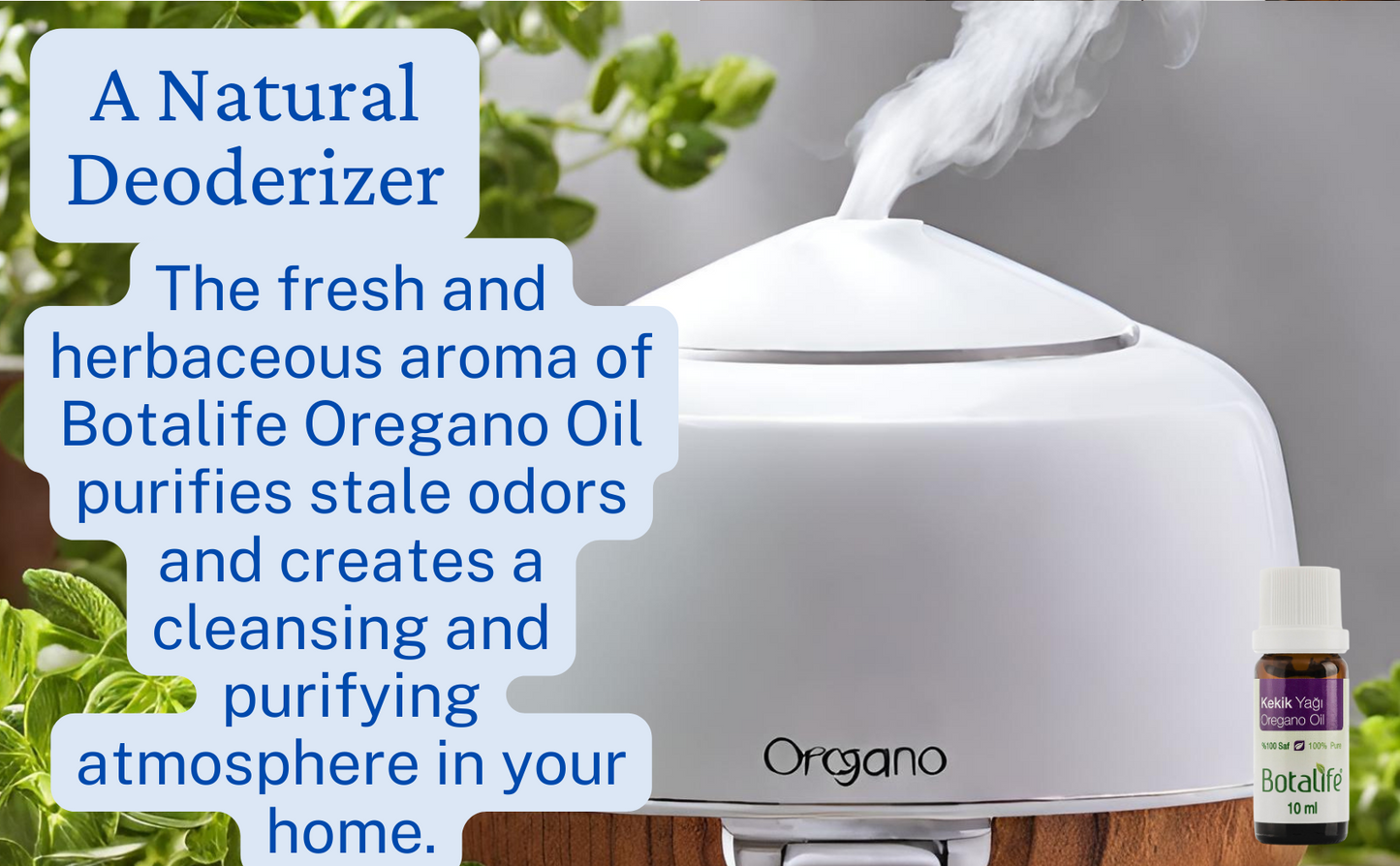 Discover the life-giving power of Botalife Oregano Oil