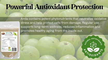 Amla fruits with amla powder packaging and text about antioxidant protection.