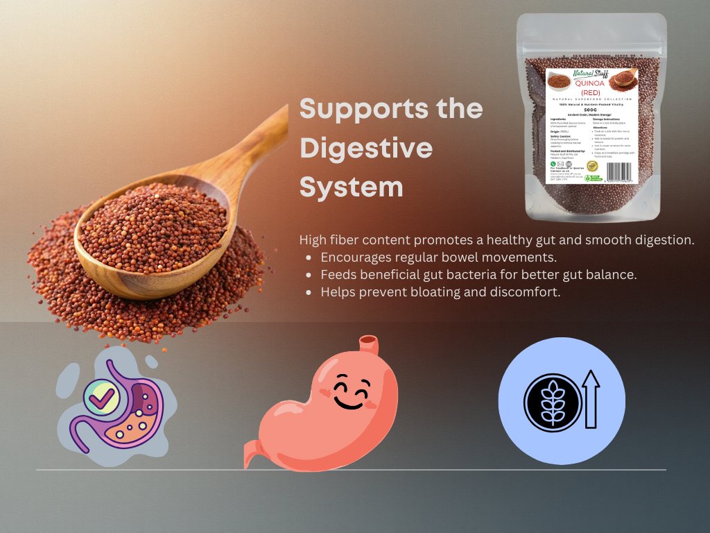 Fiber supplement with spoonful of fiber, packaging, and digestive system icons on a gradient background.