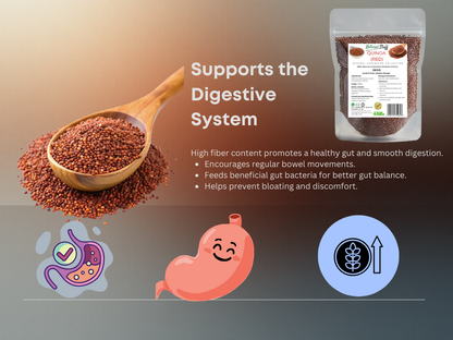 Fiber supplement with spoonful of fiber, packaging, and digestive system icons on a gradient background.