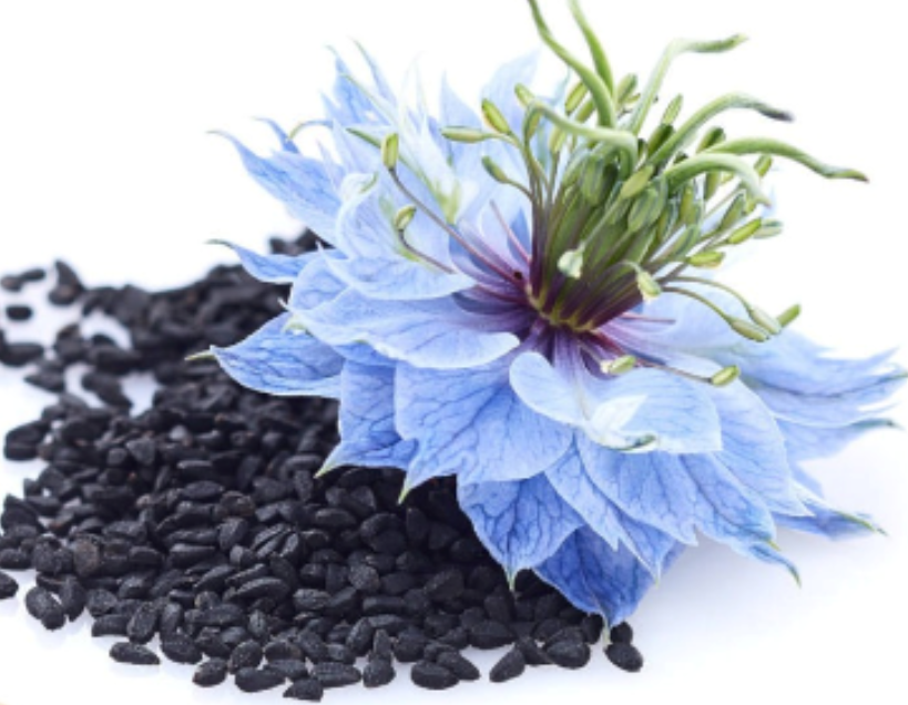 Botalife Premium Black Seed Oil 1000mg Capsules  -a minimum of 1.5% thymoquinone, delivering 3 times more potency than most other black seed oils.