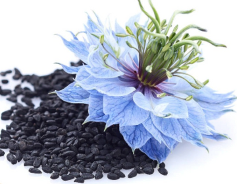 Botalife Black Seed Oil 100ml Unlock your true potential and experience the power of Black Seed Oil today!