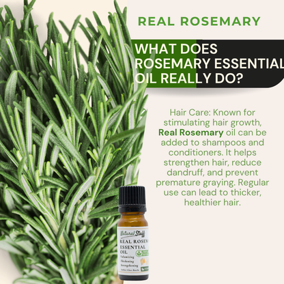 Natural Stuff 100% Real Rosemary Essential Oil 10ml - Smell the Difference