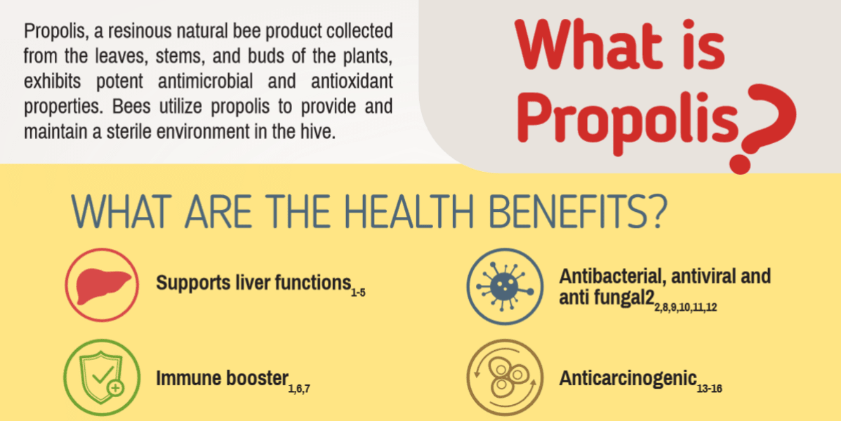 BEE&YOU 10% Pure Propolis Water Soluble Extract - High Potency - 30ml Zero Sugar - Zero Calorie - Natural Immune Support & Sore Throat Relief Antioxidants, Keto, Paleo, Gluten-Free
